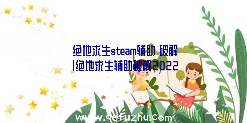 「绝地求生steam辅助